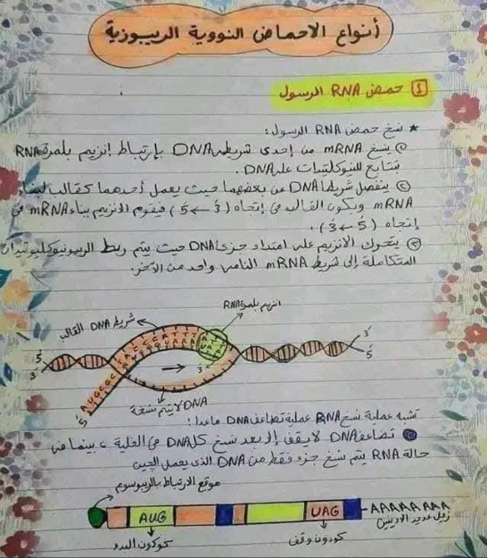 ملخص احياء1